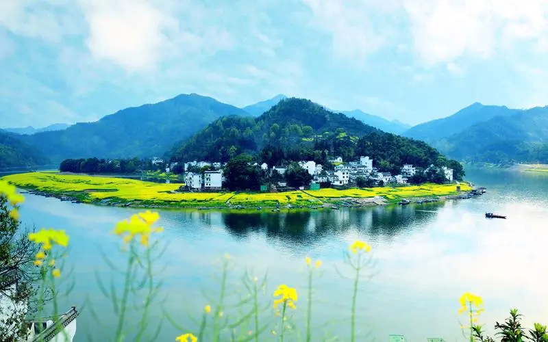 全自动节能